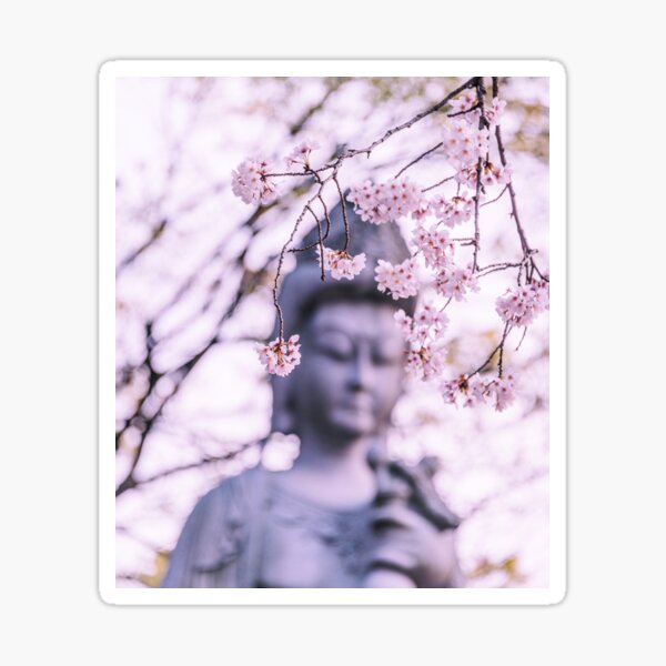 Déesse Kannon et sakura Sticker