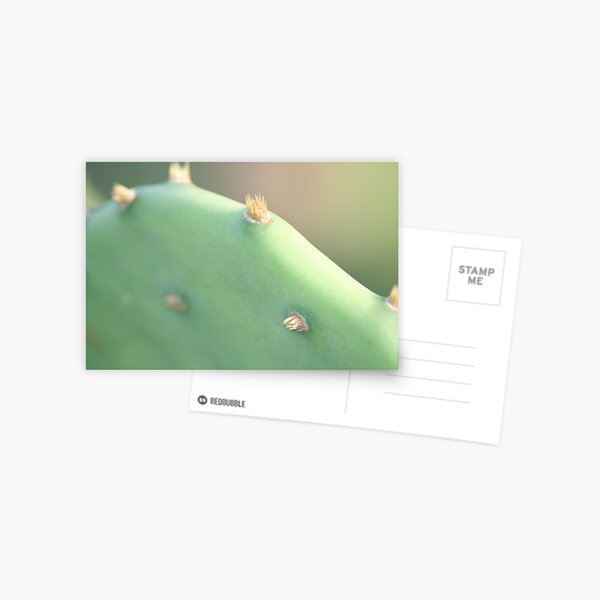 Aperçu de l'œuvre Pricklypear créée et vendue par Louise Green.