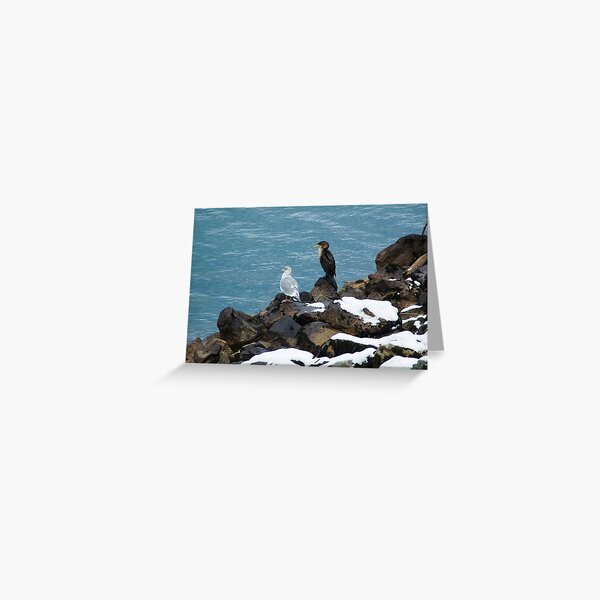Cormorant and Gull Greeting Card