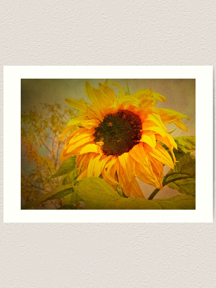 Alternate view of Autumn Sunflower and Bee Art Print