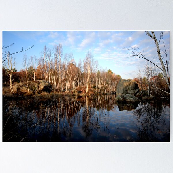 Item preview, Rock and Birch and Water designed and sold by Phil Vriend.