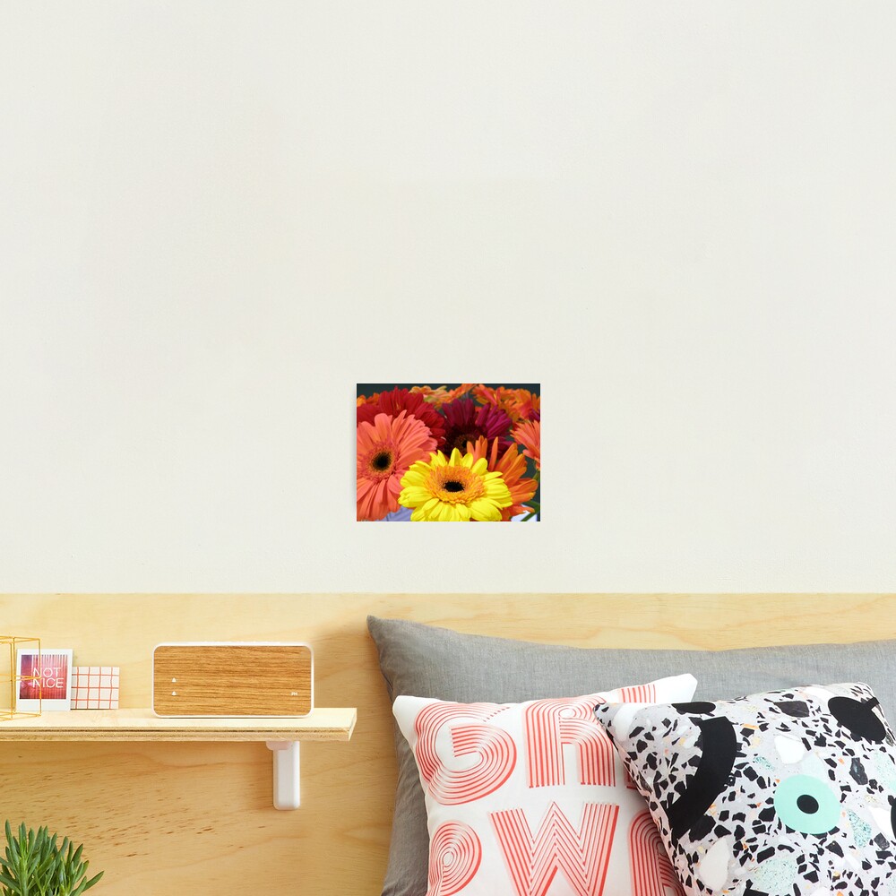 Item preview, Photographic Print designed and sold by Rocksygal52.