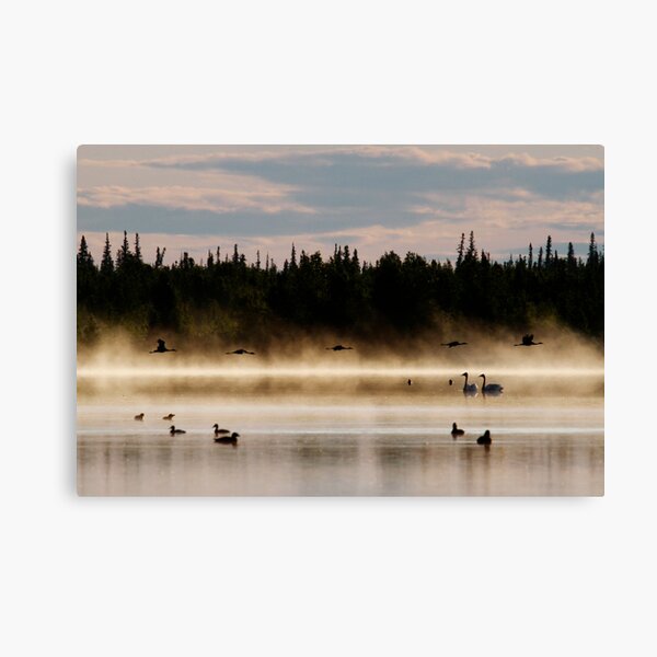 Birds in Paradise Canvas Print