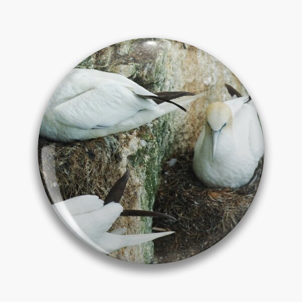 Item preview, NESTING designed and sold by andrewsaxton.