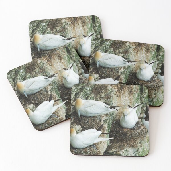 Item preview, NESTING designed and sold by andrewsaxton.