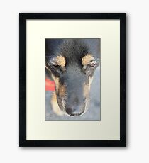 Jedi Framed Print