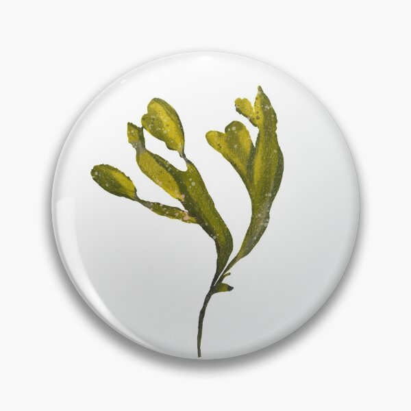 Item preview, Green Seaweed Plant designed and sold by Pacesyte.