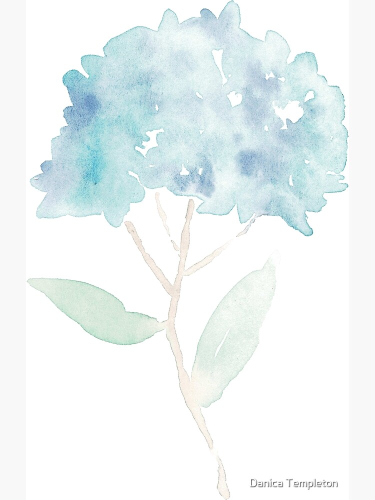 Tarjetas de felicitación «Hortensia Pintura A La Acuarela Suelta» de  NatureNerdiness | Redbubble