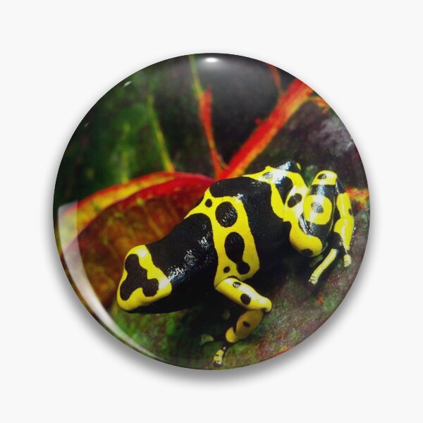 Item preview, Bumblebee poison dart frog designed and sold by rootedrender.