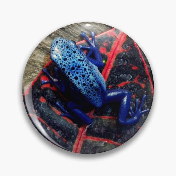 Item preview, Blue poison dart frog designed and sold by rootedrender.