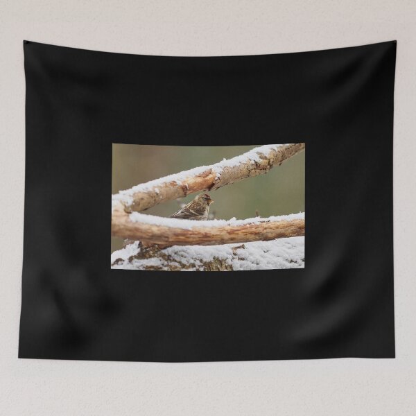 Item preview, Framed. Common redpoll designed and sold by Jouko Lehto Photography.