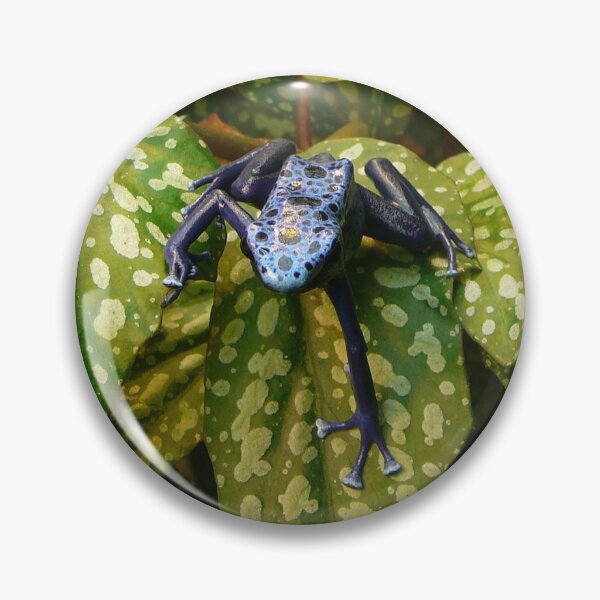 Item preview, Blue poison dart frog designed and sold by rootedrender.