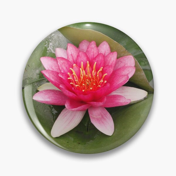 Item preview, Pink water lily designed and sold by rootedrender.