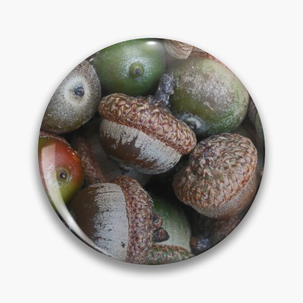 Item preview, Acorns designed and sold by rootedrender.