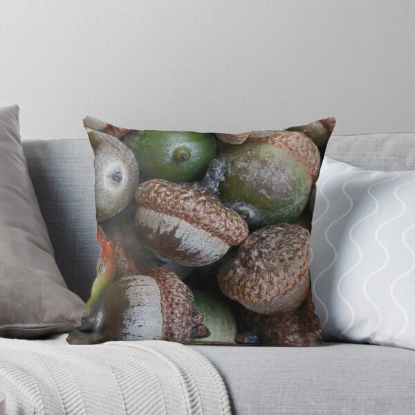 Item preview, Acorns designed and sold by rootedrender.