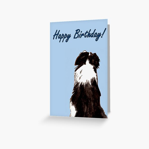 Got Your Back - Birthday Card Greeting Card