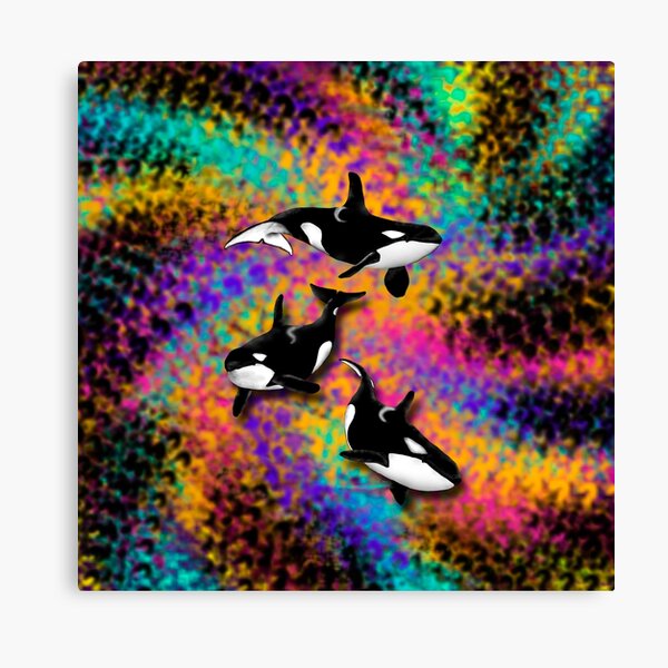 Artikel-Vorschau von 3 Orcas auf Bunt, designt und verkauft von Doris Thomas.