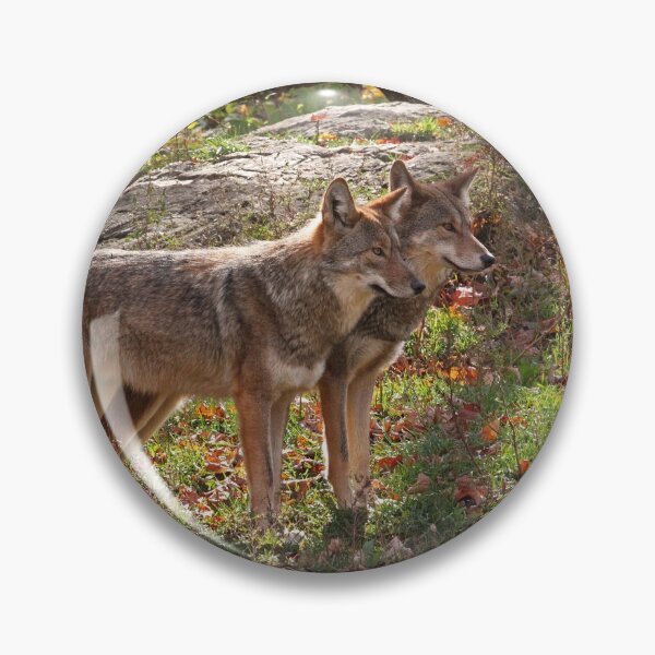 Item preview, Coyotes designed and sold by rootedrender.