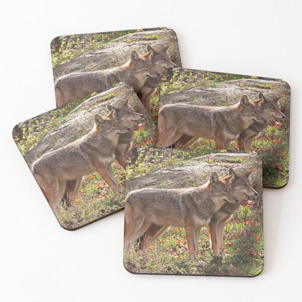 Item preview, Coyotes designed and sold by rootedrender.