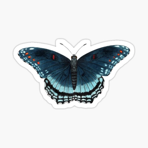 Item preview, Red-spotted Purple (Limenitis arthemis) designed and sold by JadaFitch.