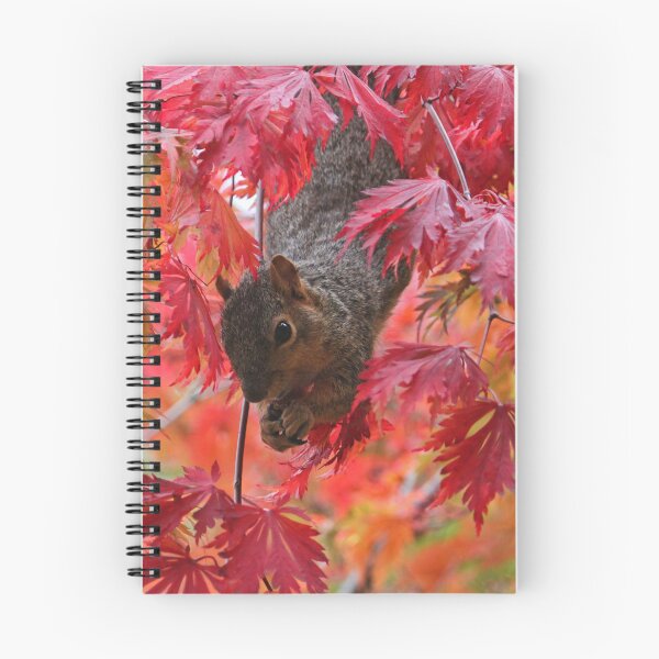 Item preview, Grey squirrel designed and sold by rootedrender.