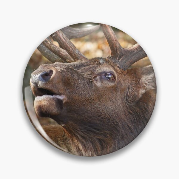 Item preview, Elk designed and sold by rootedrender.
