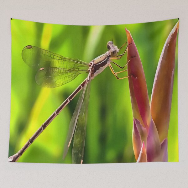 Artikelvorschau, Damselfly Balanciert Auf Einem Blumenkopf Realistische Malerei entworfen und verkauft von taiche.