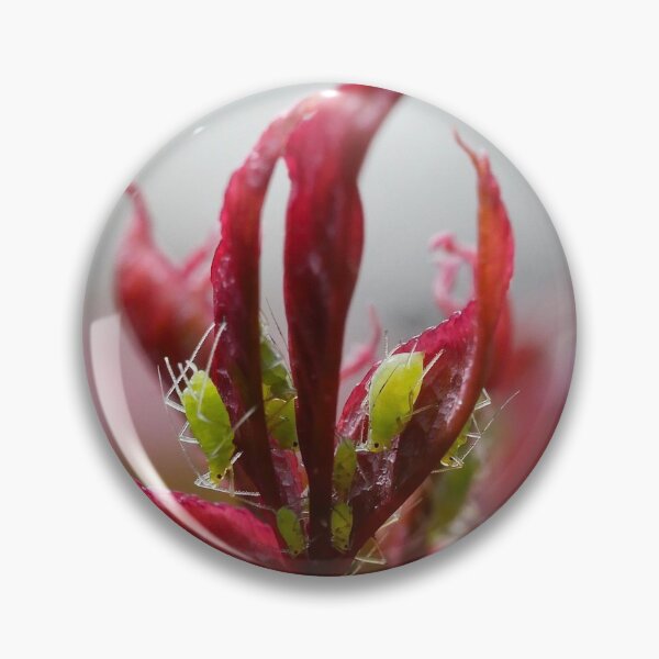 Item preview, Aphids designed and sold by MidnightHoots.