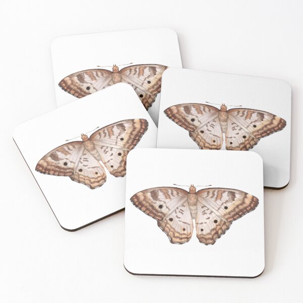 Item preview, White Peacock (Anartia jatrophae) designed and sold by JadaFitch.
