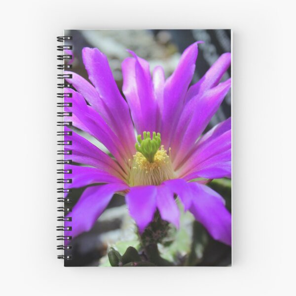 Item preview, Purple Cactus Flower designed and sold by anitahiltz.