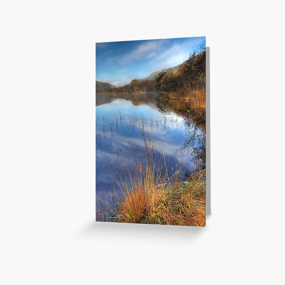 Chon Colours (5) Greeting Card