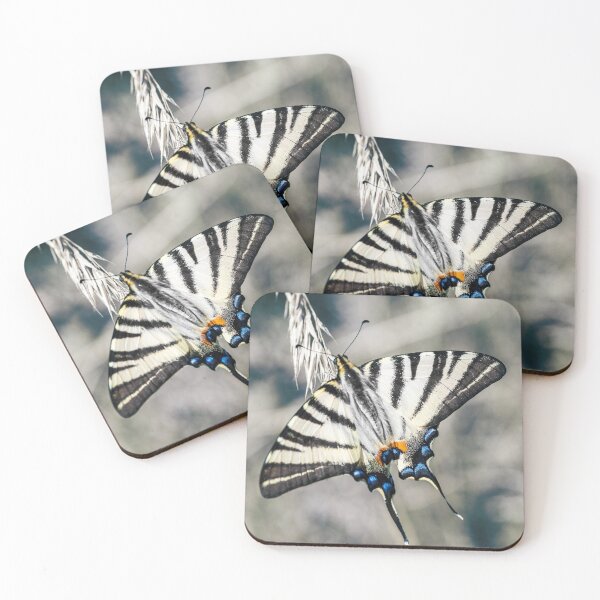 Item preview, Beautiful Iphiclides podalirius butterfly on ear of corn designed and sold by Grégory DUBUS.