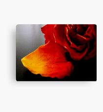 Apart - Macro ^ Canvas Print