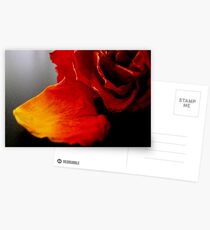 Apart - Macro ^ Postcards