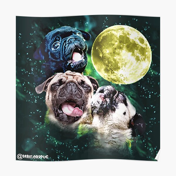 Howling Pug Poster