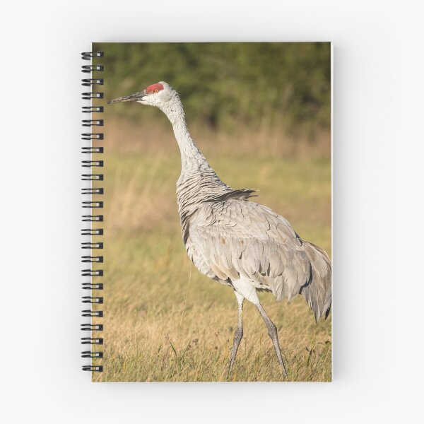 Item preview, Ruffled Feathers designed and sold by Thomasyoung.