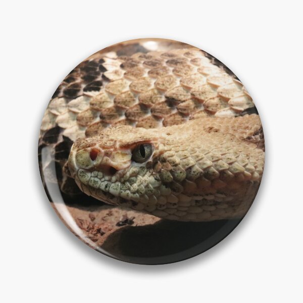 Item preview, Timber rattlesnake designed and sold by rootedrender.