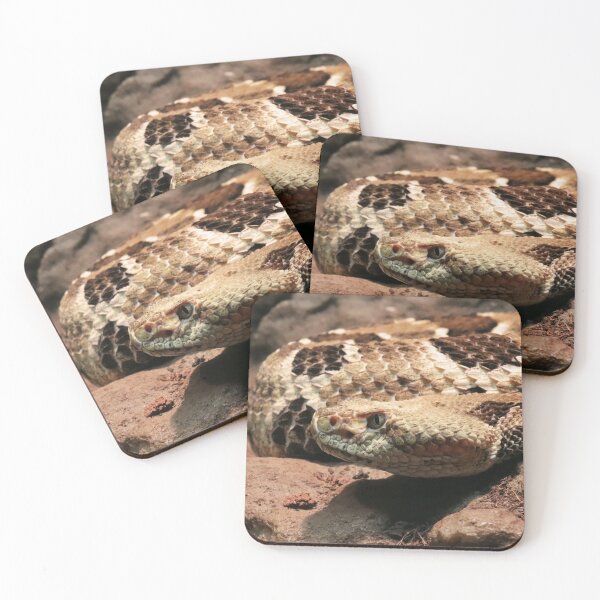 Item preview, Timber rattlesnake designed and sold by rootedrender.