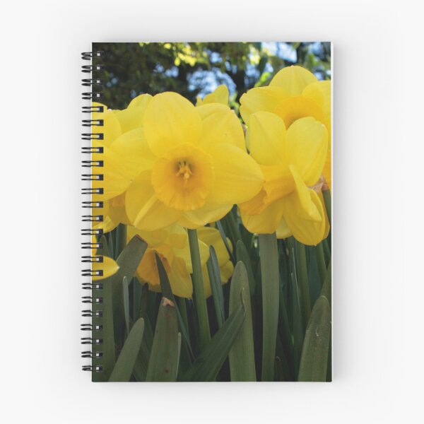 Item preview, Daffodils designed and sold by Leigh Penfold.