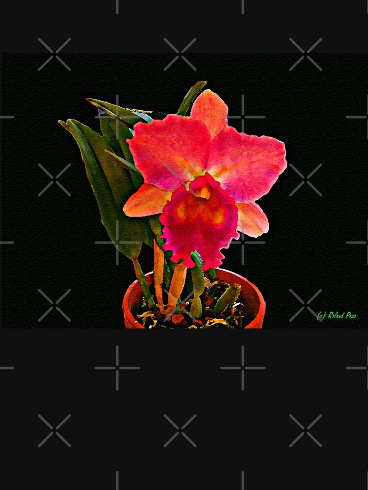 Painted Orchid by photorolandi