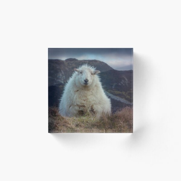 Sweet Woolly Fluffster Acrylic Block