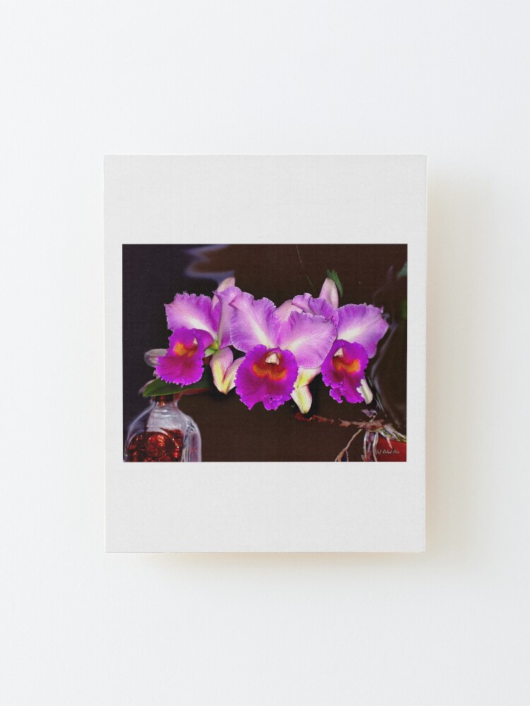 Alternate view of Midnight Fantasy Mounted Print