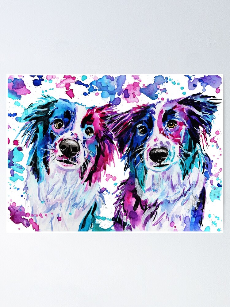 English Print Collie Dog Puppy Cat Kitten Art Picture Poster