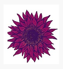Purple flower Photographic Print
