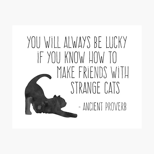 Friends with Strange Cats Photographic Print