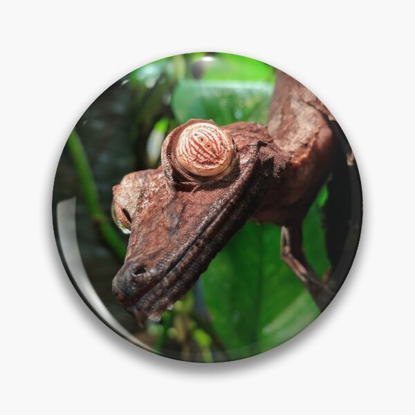 Item preview, Giant leaf-tailed gecko designed and sold by rootedrender.
