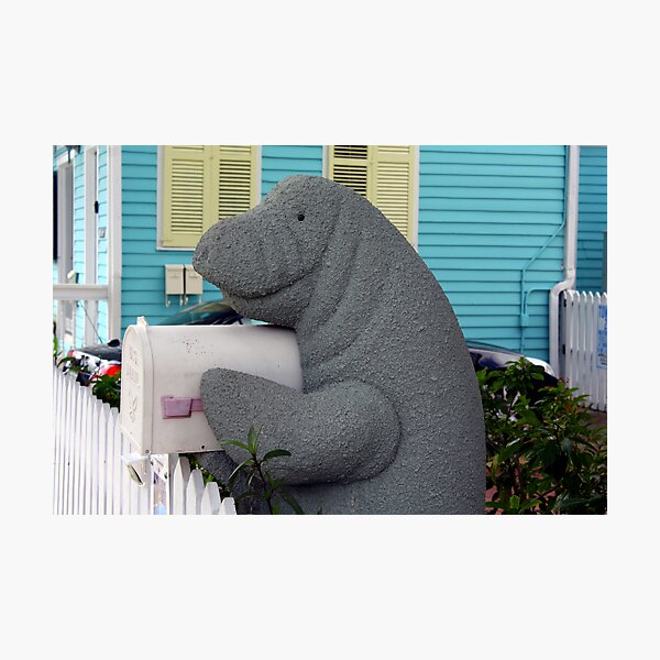 Item preview, Manatee Mailbox designed and sold by CatKV.