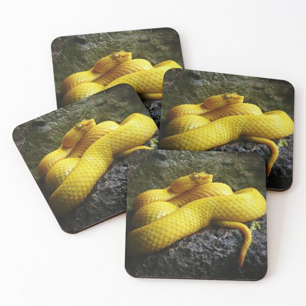 Item preview, Eyelash viper designed and sold by rootedrender.