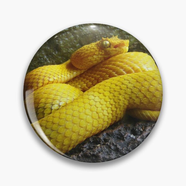 Item preview, Eyelash viper designed and sold by rootedrender.