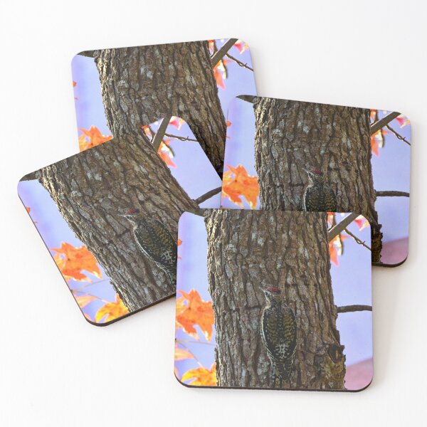 Item preview, Woodpecker In A Tree designed and sold by LisaWootenPhoto.